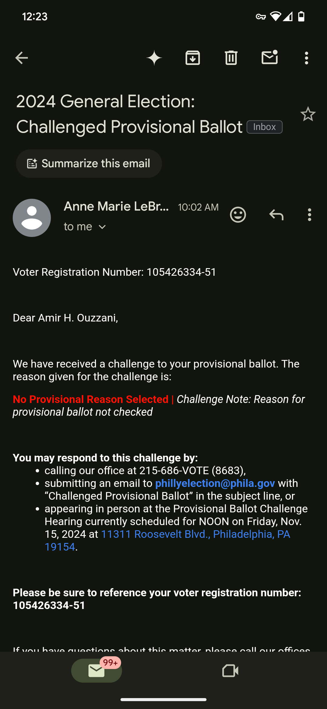 Vote Cheat 2024 1